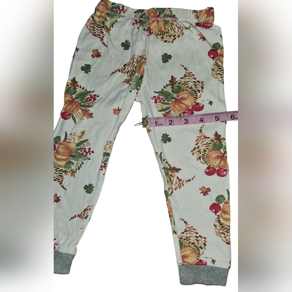 Burt's Bees Kids Boy Girl Thanksgiving Celebration Organic 2pc PJ Set Sz 3T - Picture 12 of 16